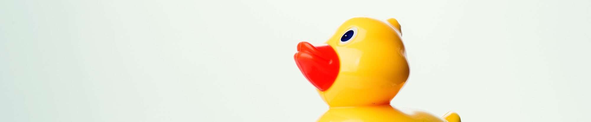 Ente