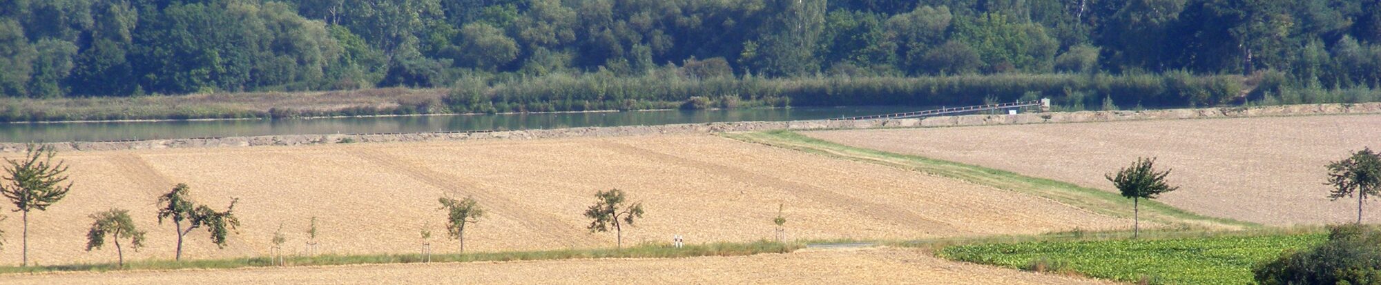 Innersteaue