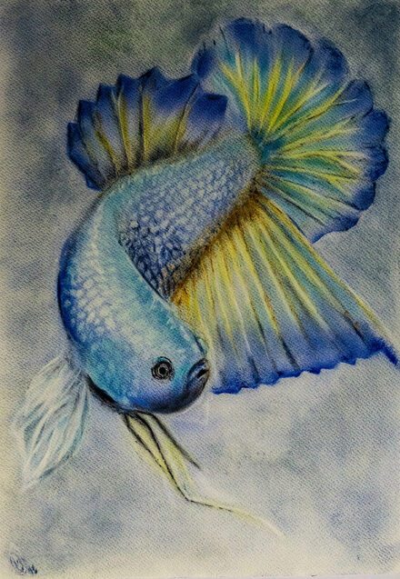 Auf der malerischen Pirsch entdeckt: Ein Fisch.