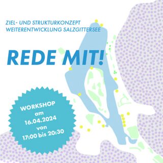 Luftbild des Salzgittersees mit Text als Grafik.
