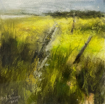 Hans-Jürgen Trams „Raps an der Schlei“, 2025, Pastell und Gouache