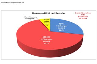 Grafik der Förderungen nach Kategorie