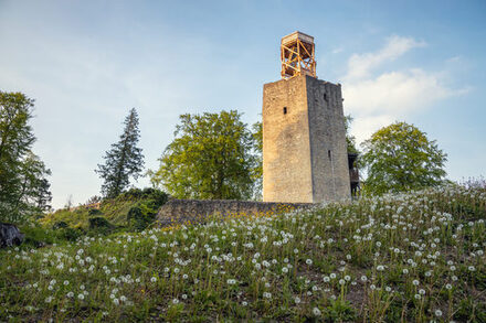 Burgruine Lichtenberg