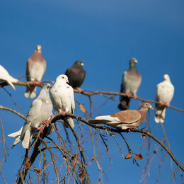 PantherMedia 15292845