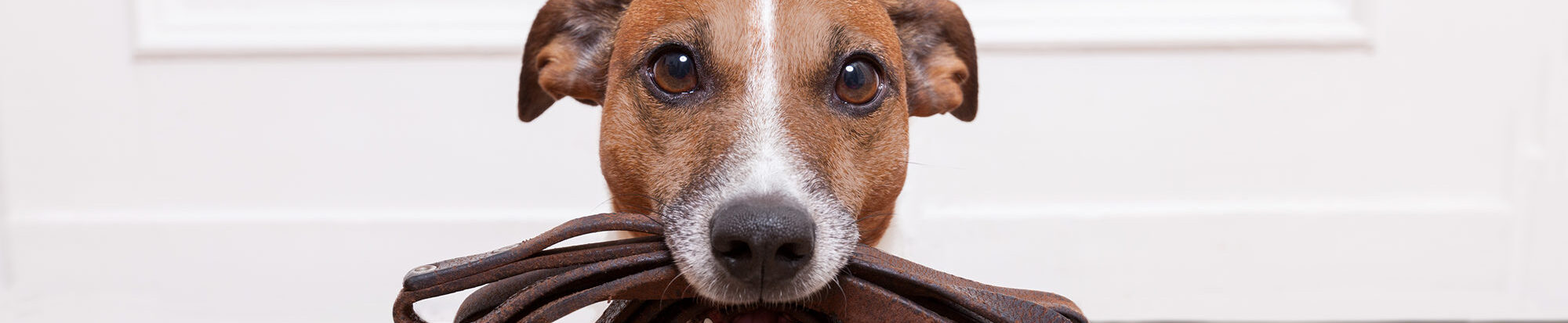 PantherMedia B36253279