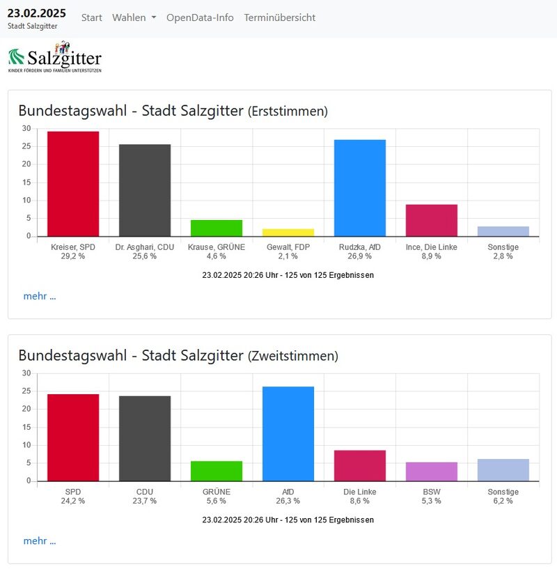 Ergebnisse der Stadt Salzgitter bei der Bundestagswahl 2025.
