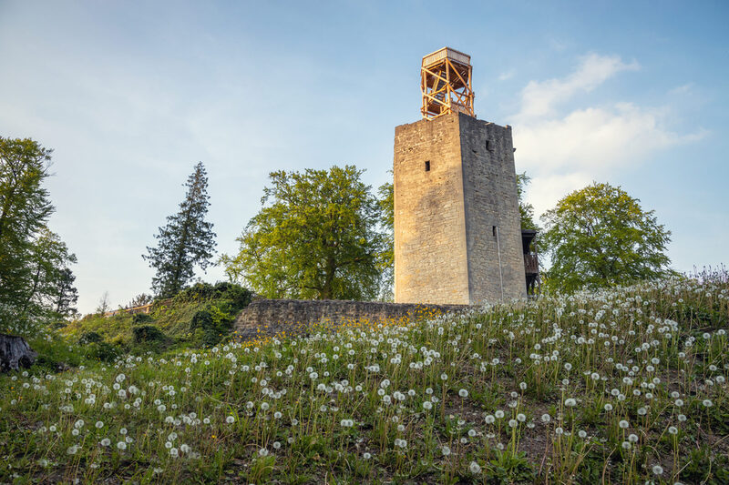 Die Burgruine in Lichtenberg.